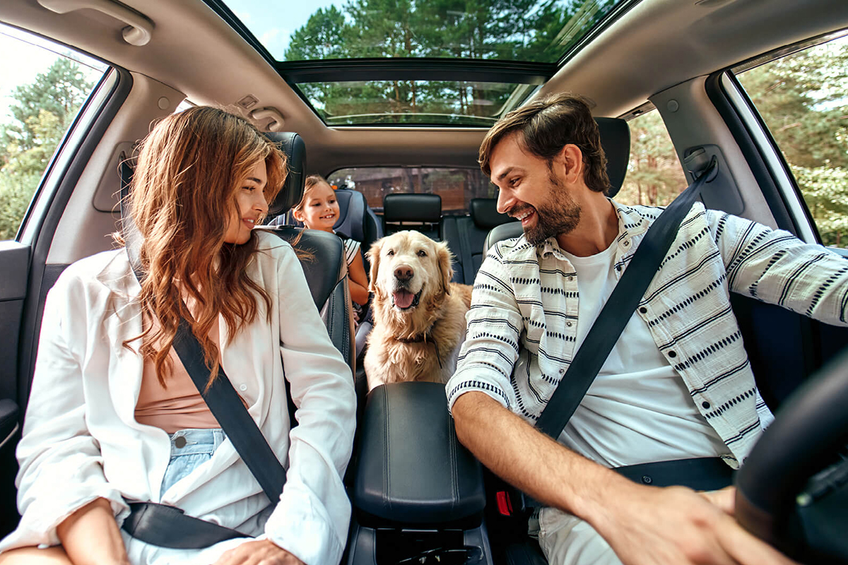 Praktische Auto-Gadgets im Sommer