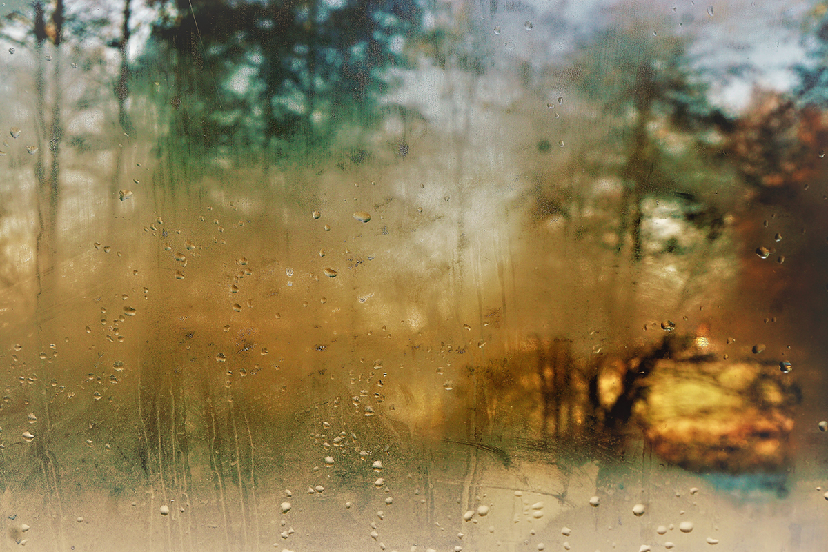 Mit klarer Sicht durch den Herbst