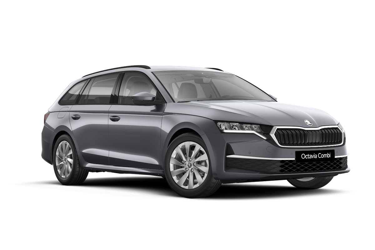 Die Škoda Winter Vibes. Entdecken Sie aktulle Angebote.