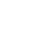 Seat-Marken-Logo in weiss