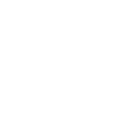  Škoda-Marken-Logo in weiss
