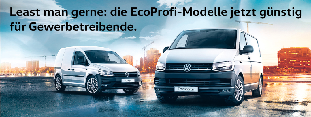 EcoProfi-Modelle leasen